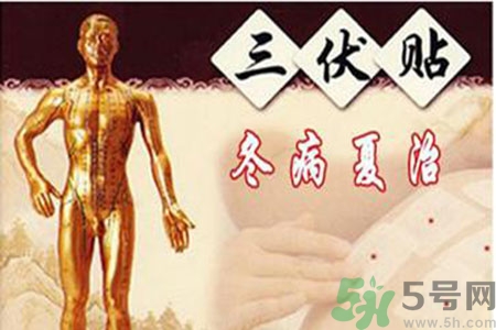 胃病可以貼三伏貼嗎？胃病貼三伏貼貼哪里？