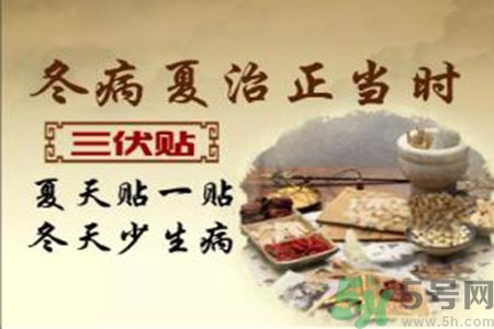 胃病可以貼三伏貼嗎？胃病貼三伏貼貼哪里？