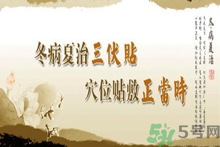 胃病可以貼三伏貼嗎？胃病貼三伏貼貼哪里？