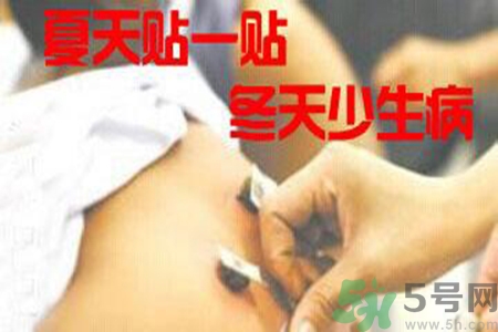 肝炎貼三伏貼有用嗎？肝病貼三伏貼貼哪里？