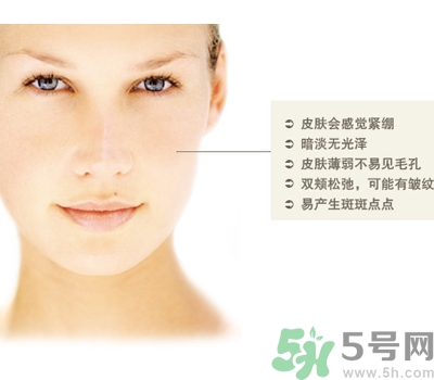 干性皮膚用什么洗面奶？干性皮膚該怎么保養(yǎng)？