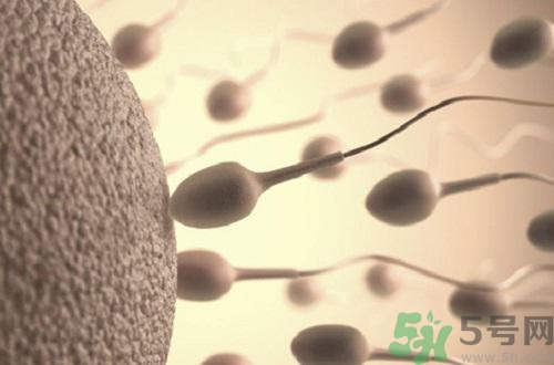高溫對精子有影響嗎？高溫對精子有什么影響？