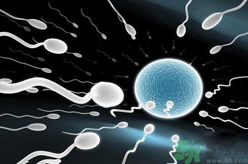 高溫對精子有影響嗎？高溫對精子有什么影響？