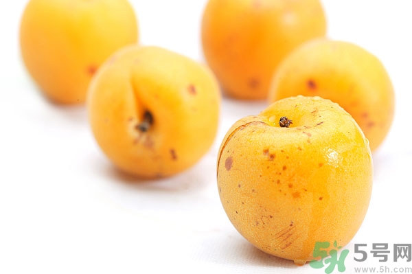 杏子孕婦可以吃嗎？懷孕初期可以吃杏子嗎？