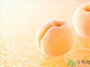 杏子不太熟能吃嗎？杏子不太熟怎么辦？