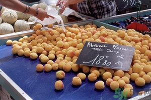 杏子孕婦可以吃嗎？懷孕初期可以吃杏子嗎？