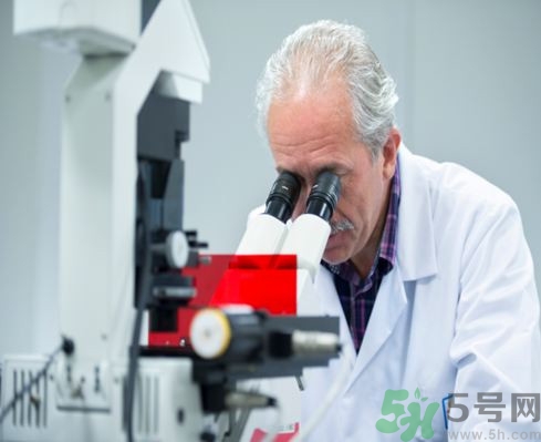 蟑螂奶是什么?蟑螂奶可以喝嗎 蟑螂奶是什么?蟑螂奶可以喝嗎