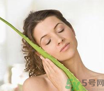 蘆薈膠會堵塞毛孔嗎？蘆薈膠應(yīng)該怎么用？