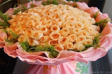 一年共有多少個(gè)情人節(jié)？一年中有哪些情人節(jié)？