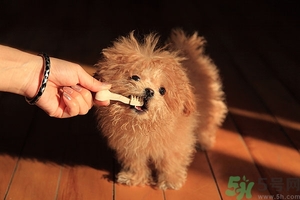 9歲男孩磨牙怎么回事？青少年磨牙是什么原因？