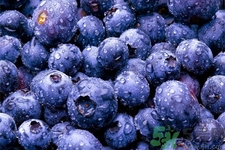 怎么挑選藍(lán)莓？藍(lán)莓怎么保存？