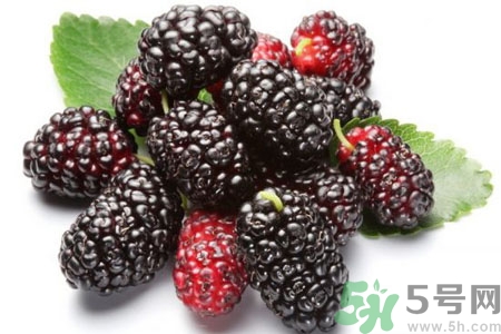 桑葚怎么洗？桑葚怎么保存？