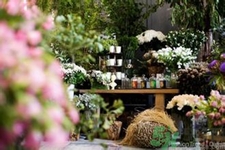 野獸派是什么牌子？野獸派怎么樣？