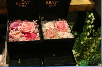 野獸派是什么牌子？野獸派怎么樣？