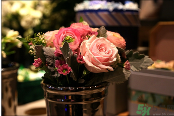 野獸派是什么牌子？野獸派怎么樣？