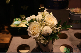 野獸派是什么牌子？野獸派怎么樣？