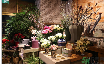 野獸派是什么牌子？野獸派怎么樣？