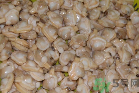 花蛤的營養(yǎng)價值有哪些？生取蛤肉的方法是什么？