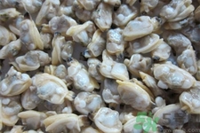 花蛤的營養(yǎng)價值有哪些？生取蛤肉的方法是什么？