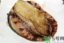 鮑魚如何挑選？鮑魚如何保存？