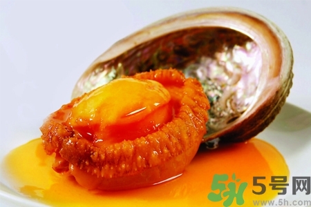 鮑魚如何挑選？鮑魚如何保存？