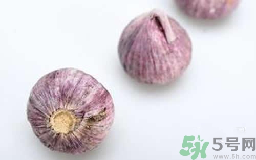 三伏貼的配方是什么？三伏貼的配方有哪些？