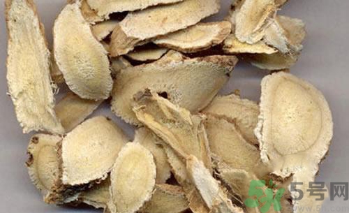 三伏貼的配方是什么？三伏貼的配方有哪些？