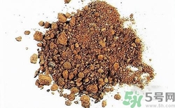 三伏貼的配方是什么？三伏貼的配方有哪些？