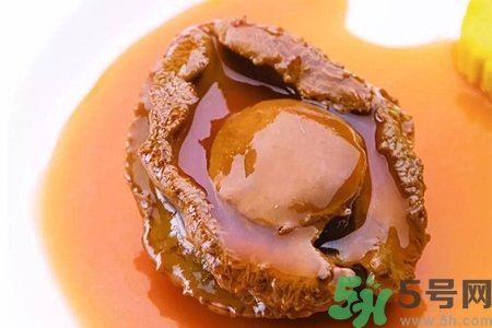 鮑魚如何挑選？鮑魚如何保存？