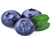 怎么挑選藍(lán)莓？藍(lán)莓怎么保存？