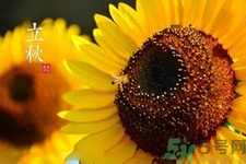 立秋后天氣還熱嗎？立秋后還要熱多久？