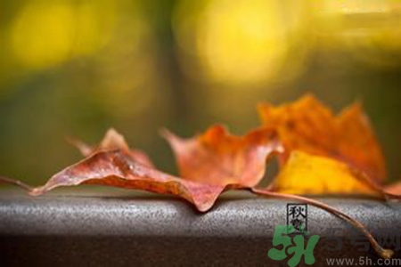 立秋是什么意思？立秋的含義