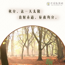 立秋是秋分嗎？立秋和秋分的區(qū)別？