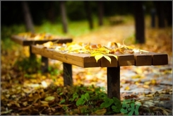 立秋做什么運(yùn)動(dòng)好？立秋運(yùn)動(dòng)注意事項(xiàng)