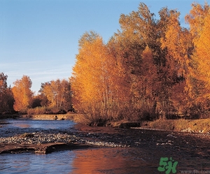 貼秋膘是什么時(shí)候？立秋貼秋膘的方法及五大禁忌人群