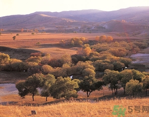 貼秋膘是什么時(shí)候？立秋貼秋膘的方法及五大禁忌人群