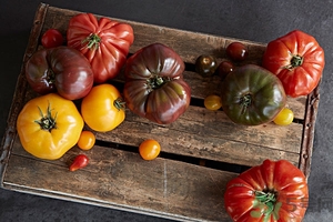 開心果返潮了怎么辦?開心果返潮是怎么回事 開心果返潮了怎么辦?開心果返潮是怎么回事