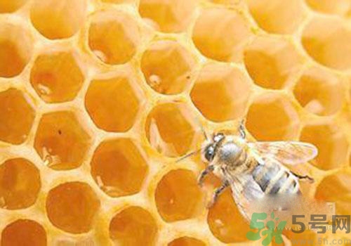 蜂膠有激素嗎？蜂膠吃多了會怎樣？