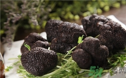 黑松露是什么東西?黑松露是什么味道 黑松露是什么東西?黑松露是什么味道