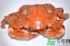 新鮮螃蟹該如何保存？熟螃蟹怎么存放？
