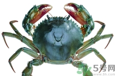 螃蟹死了還能吃嗎？螃蟹怎么清洗？