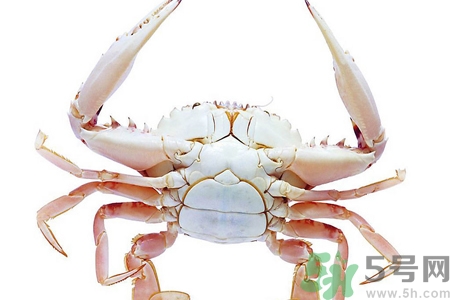 螃蟹死了還能吃嗎？螃蟹怎么清洗？