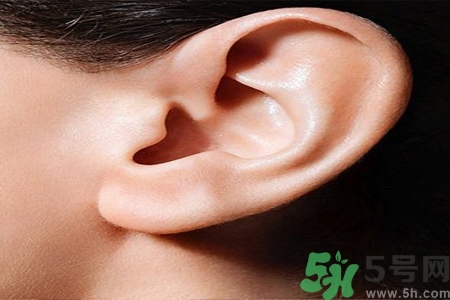 耳朵嗡嗡響怎么回事？耳朵嗡嗡響怎么辦？