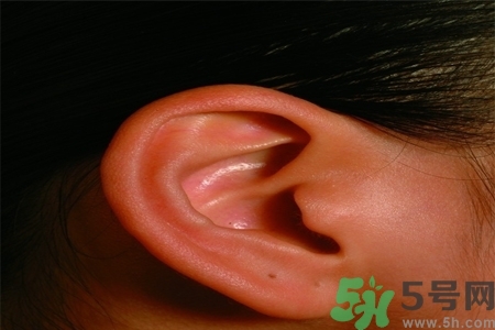 耳朵嗡嗡響怎么回事？耳朵嗡嗡響怎么辦？