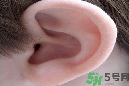 耳朵癢是怎么回事？耳朵癢怎么辦？