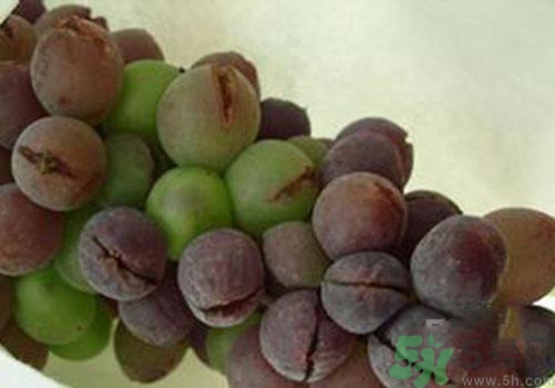 葡萄是幾月份的水果？葡萄什么時(shí)候上市？