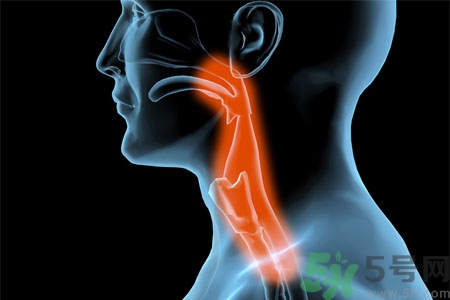 癲癇的發(fā)病因素？癲癇的并發(fā)癥有哪些？