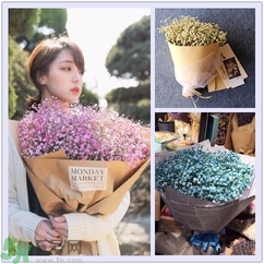 七夕送女朋友什么花？七夕送女朋友花送幾朵？