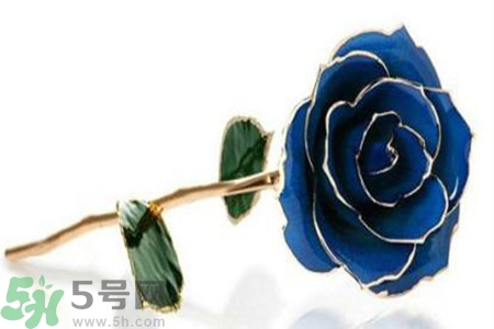 七夕送女朋友什么花？七夕送女朋友花送幾朵？