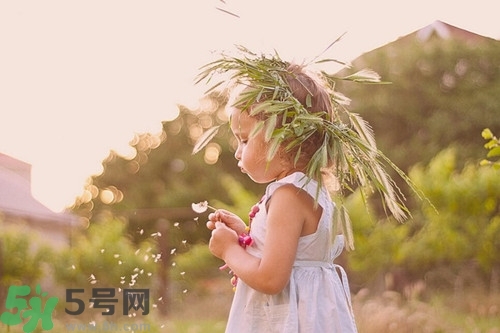 吃蜂王漿會上火嗎?吃蜂王漿的上火怎么辦 吃蜂王漿會上火嗎?吃蜂王漿的上火怎么辦